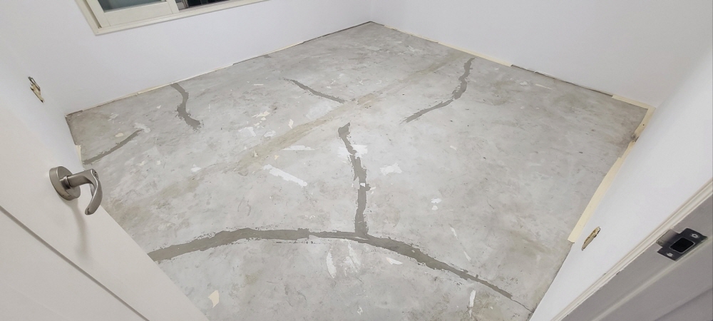 3695294320_EW7dlgLG_7cbbc249c688af94bfbeabd75d644efa5b0c3700.jpg 이미지크게보기