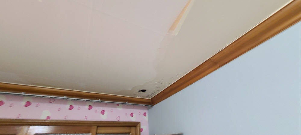 3695294320_qEdFhXGi_86a6f9058a5c816c748fda6b54c50bbea96dda99.jpg 이미지크게보기