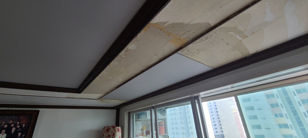 /user/0/01098422922/editor/2311/724f33dc3b513df4b334193a81f6d31f_1699587898_3239.jpg 이미지크게보기